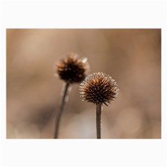 Withered Globe Thistle In Autumn Macro Large Glasses Cloth (2 Front