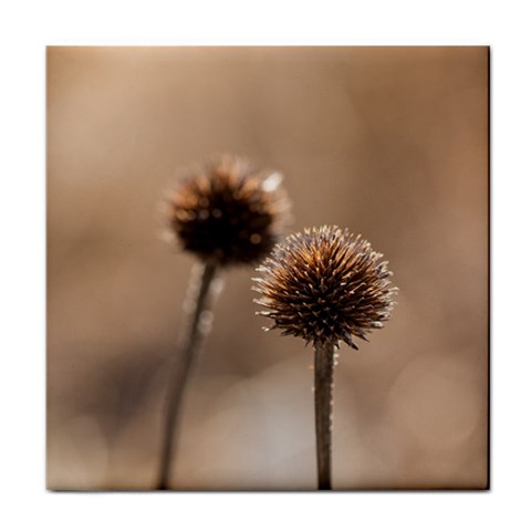 Withered Globe Thistle In Autumn Macro Face Towel from ArtsNow.com Front