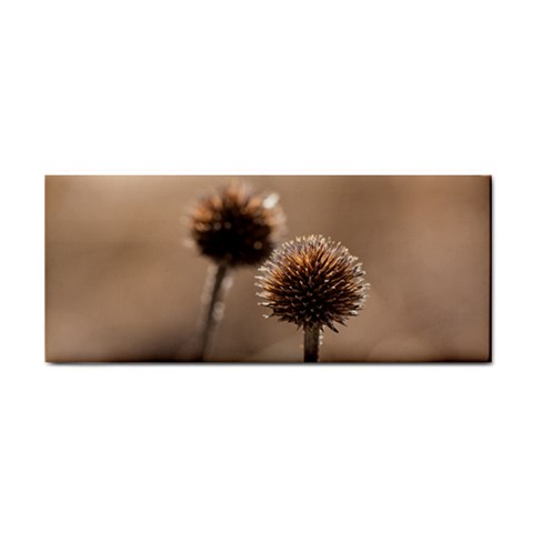 Withered Globe Thistle In Autumn Macro Hand Towel from ArtsNow.com Front