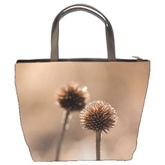 Withered Globe Thistle In Autumn Macro Bucket Bags from ArtsNow.com Back