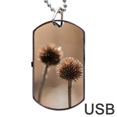 Withered Globe Thistle In Autumn Macro Dog Tag USB Flash (Two Sides)  from ArtsNow.com Front