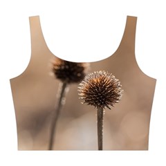 Withered Globe Thistle In Autumn Macro Midi Sleeveless Dress from ArtsNow.com Top Back