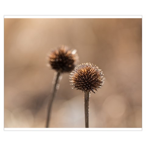 Withered Globe Thistle In Autumn Macro Medium Zipper Tote Bag from ArtsNow.com Front