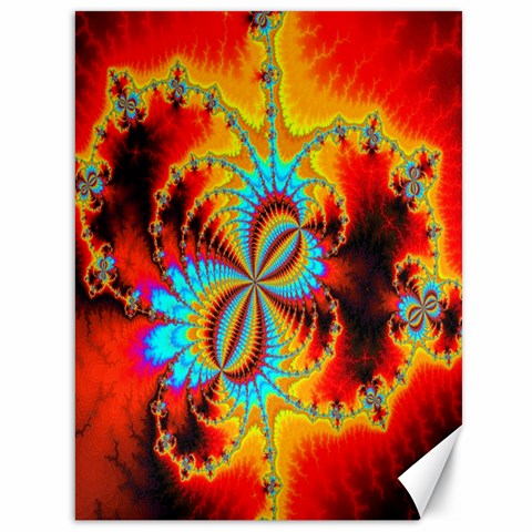 Crazy Mandelbrot Fractal Red Yellow Turquoise Canvas 36  x 48   from ArtsNow.com 35.26 x46.15  Canvas - 1
