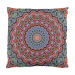 Abstract Painting Mandala Salmon Blue Green Standard Cushion Case (Two Sides)