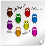 Cute owls - Who? Canvas 12  x 12  