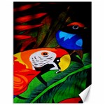Papgei Red Bird Animal World Towel Canvas 12  x 16  