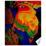 Parakeet Colorful Bird Animal Canvas 11  x 14  