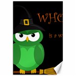 Who is a witch? - green Canvas 20  x 30  