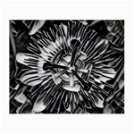Black And White Passion Flower Passiflora  Small Glasses Cloth