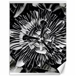 Black And White Passion Flower Passiflora  Canvas 18  x 24  