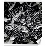 Black And White Passion Flower Passiflora  Canvas 20  x 24  