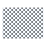 Polka Dots - Black on Pastel Blue Double Sided Flano Blanket (Mini)