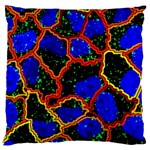 Single Cells Gene Edges Zoomin Color Standard Flano Cushion Case (Two Sides)