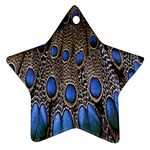 Feathers Peacock Light Ornament (Star) 