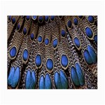 Feathers Peacock Light Small Glasses Cloth (2-Side)