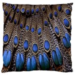 Feathers Peacock Light Standard Flano Cushion Case (One Side)