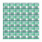 Green plaid pattern Medium Glasses Cloth