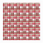 Red plaid pattern Medium Glasses Cloth