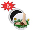 Barefoot in the grass 1.75  Magnets (10 pack) 