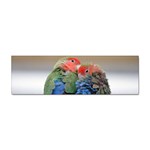 Love Parrots Sticker Bumper (100 pack)