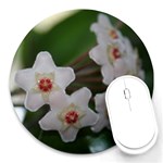 Hoya Round Mousepad