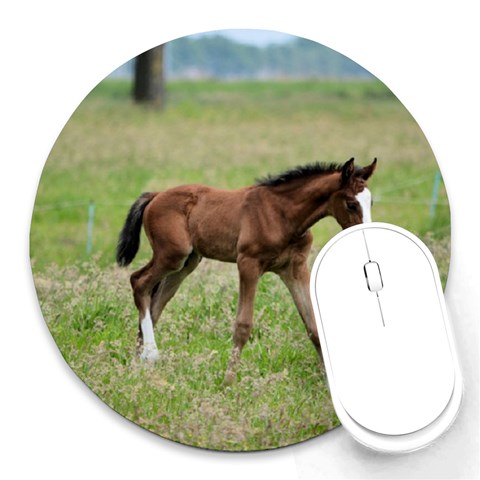 Colt Round Mousepad from ArtsNow.com Front