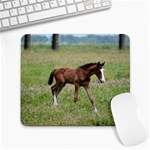 Colt Large Mousepad