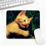 Kitten 23 Large Mousepad