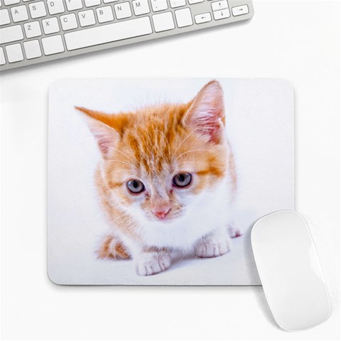 Kitten 2 Large Mousepad from ArtsNow.com Front