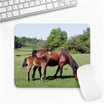 Horse And Colt Large Mousepad