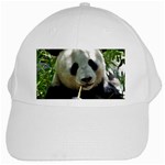 Panda White Cap