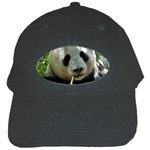 Panda Black Cap