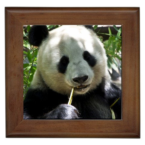Panda Framed Tile from ArtsNow.com Front