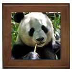 Panda Framed Tile