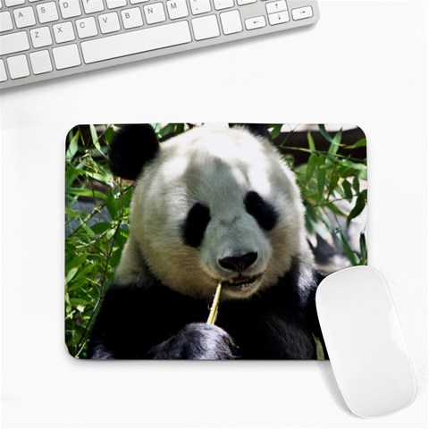 Panda Small Mousepad from ArtsNow.com Front