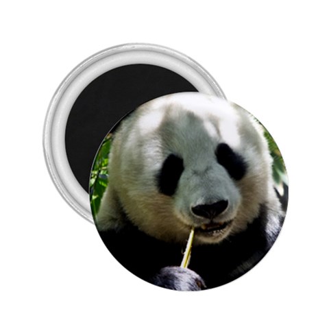 Panda 2.25  Magnet from ArtsNow.com Front