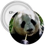 Panda 3  Button