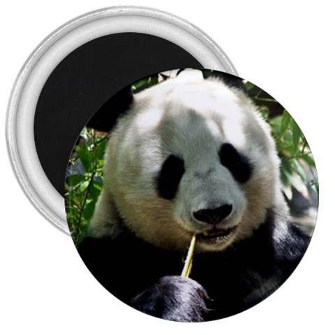 Panda 3  Magnet from ArtsNow.com Front