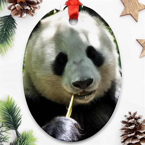 Panda Ornament (Oval) from ArtsNow.com Front