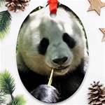 Panda Ornament (Oval)