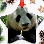 Panda Ornament (Star)