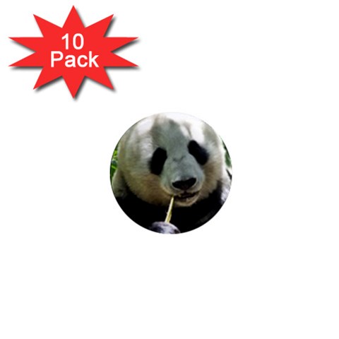Panda 1  Mini Magnet (10 pack)  from ArtsNow.com Front