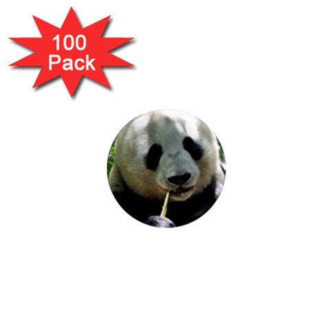 Panda 1  Mini Magnet (100 pack)  from ArtsNow.com Front