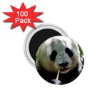 Panda 1.75  Magnet (100 pack) 