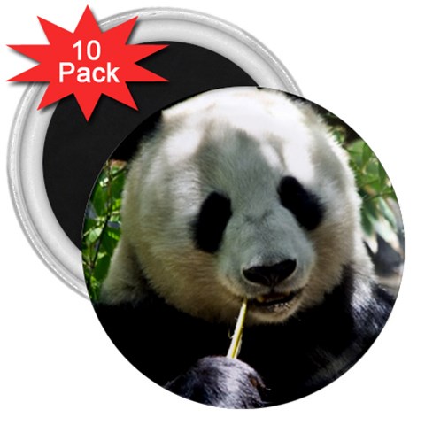 Panda 3  Magnet (10 pack) from ArtsNow.com Front