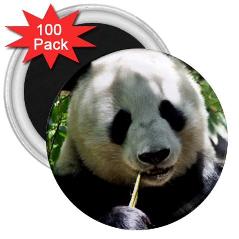 Panda 3  Magnet (100 pack) from ArtsNow.com Front
