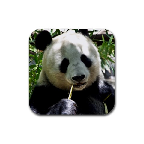 Panda Rubber Coaster (Square) from ArtsNow.com Front