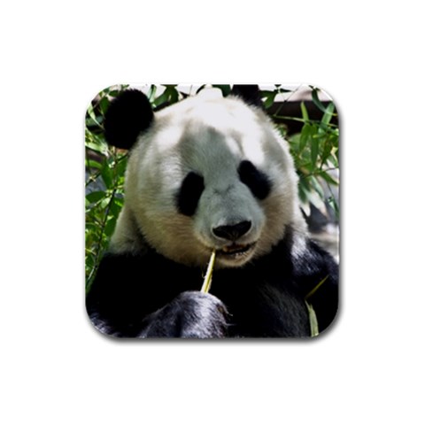 Panda Rubber Square Coaster (4 pack) from ArtsNow.com Front