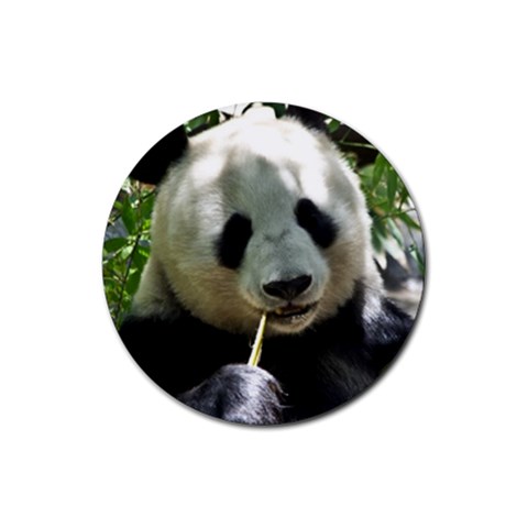 Panda Rubber Round Coaster (4 pack) from ArtsNow.com Front